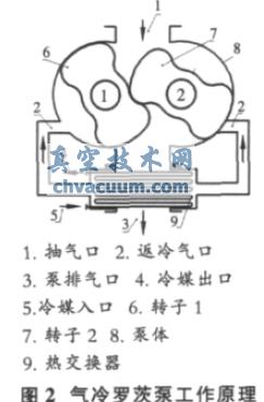 ޴ıùԭ
